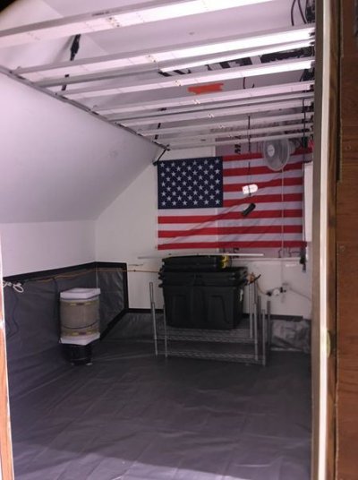Kingbrite 720w full spectrum vs Meijiu A8Max 650w