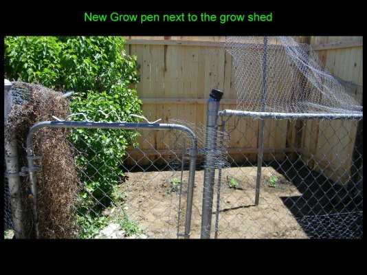 newgrowpen.jpg