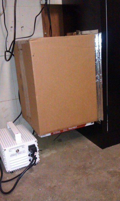 cabinet-filter-box.jpg