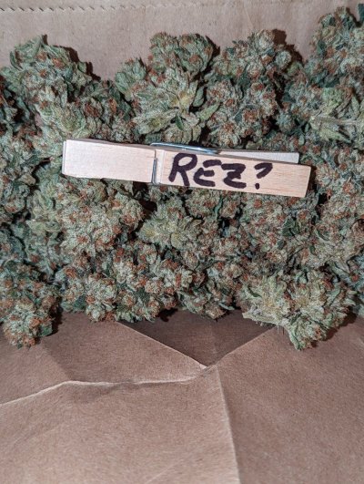 Bud Goodman's Perpetual Thread of Perpetually Good Buds, Man.