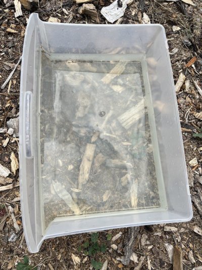 Let's see your outdoor grow 2022