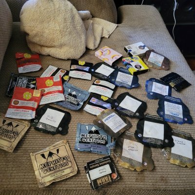 16662130459321984290816388697298.jpg
