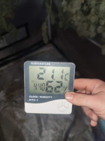 drying-my-harvest-is-my-humidity-and-temps-right-2.jpeg