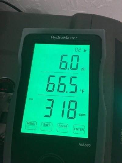 4396B3E6-EA20-410E-9B60-C769321763BA.jpeg