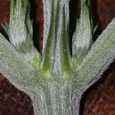 20221102_173639.jpg
