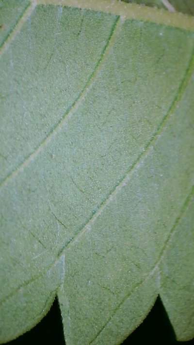 2022_11_06_12_26_33_330.jpg