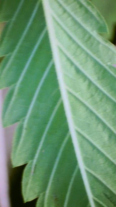 2022_11_06_12_25_03_121.jpg
