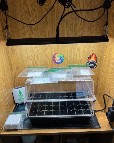 round-2-with-ac-infinity-4x4-cloud--lab-kit-6.jpeg