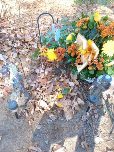 Post your own shareable pics...