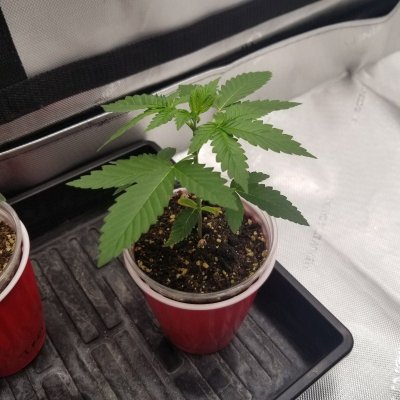 20221110_161611.jpg