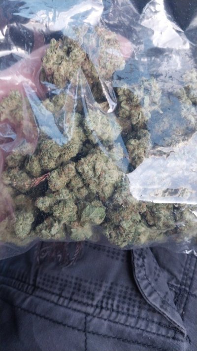 IMG-20220828-WA0135.jpeg