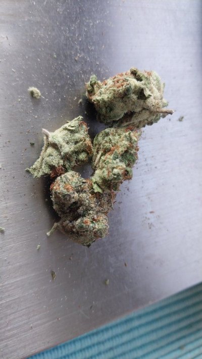IMG-20220826-WA0067.jpeg