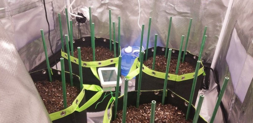 first-grow-ever-wish-me-luck.jpg