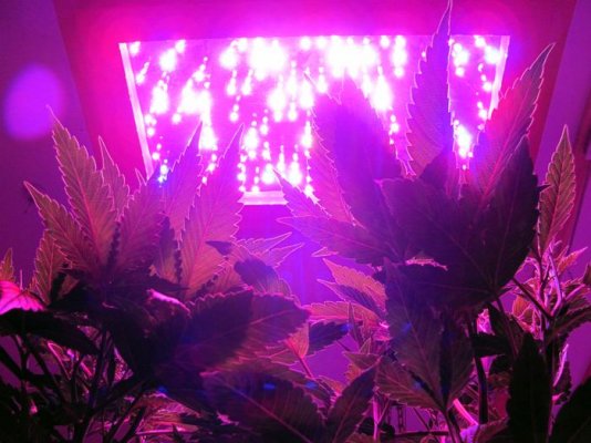 IMG_1922.jpg
