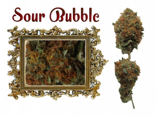 Sour.jpg