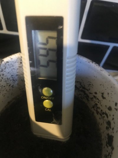 Lime and ph adjustment new mix