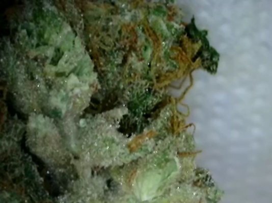 dealers-weed-i-need-your-opinion-2.jpeg