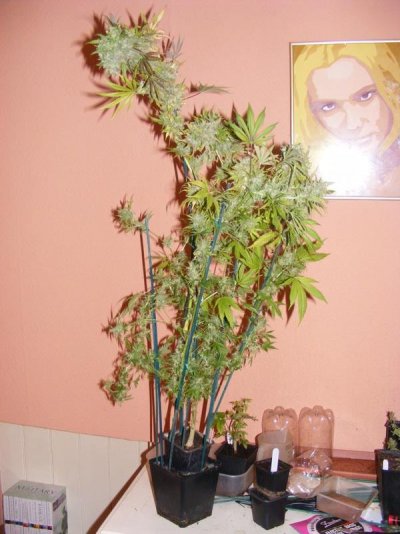 DSCF0058.jpg