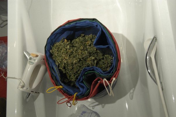 water-hash-1-068.jpg