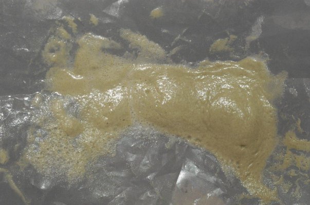 Water Hash 1 127.jpg