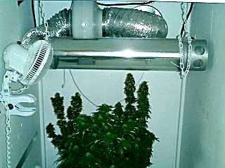 diy-grow-cabinet-texas-style-7.jpg
