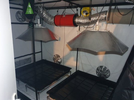 fbsv-10x5-auto-multi-feed.jpg