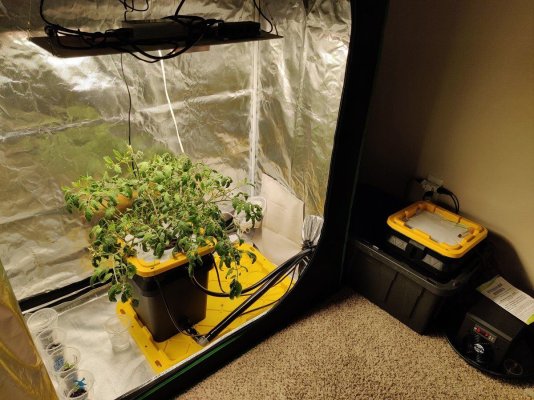 Wise and knowledgeable expert advise for DWC at altitude.