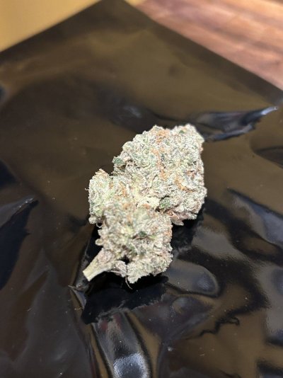 adk-hemp-co-fire-farm-upstate-ny-3.jpeg