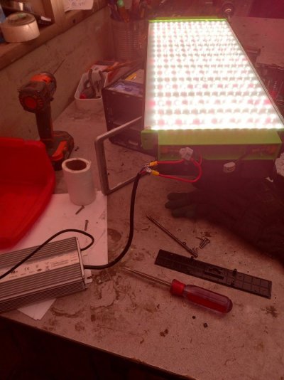 panel on - Copy.jpg