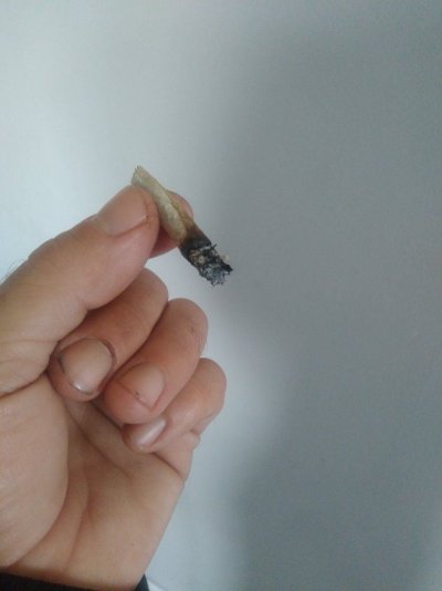 What Are You Smoking?