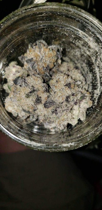 Zombie’s Ganja Garden of Happiness