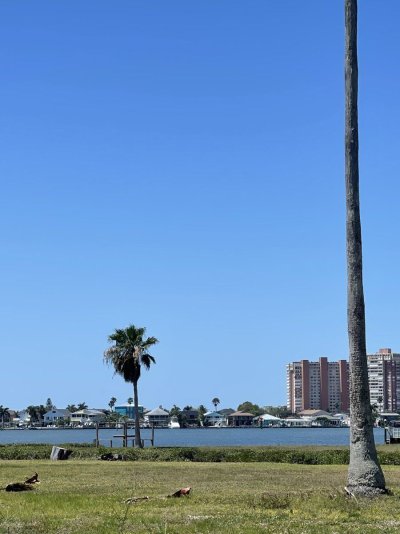 IMG_6386.jpeg