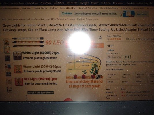 are-these-lights-good-enough-2.jpg
