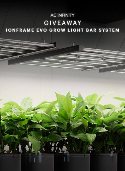 ionframe.jpg