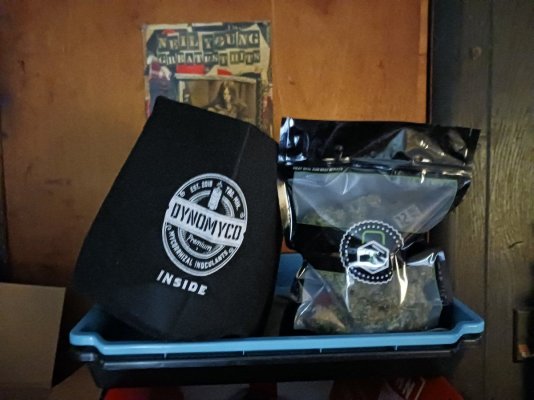 Trainwreck & TSP coco run ect.