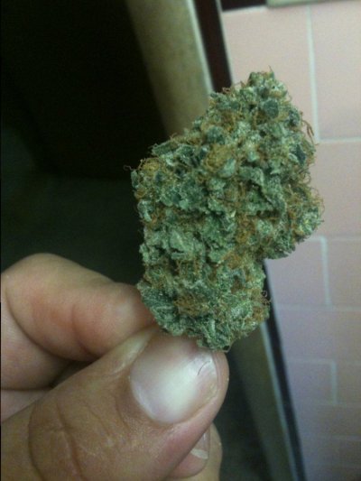 bubba-kush-x-bluemoonshine-nug-pics-3.jpg