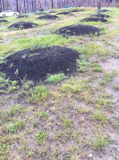 Butte County Outdoor '11