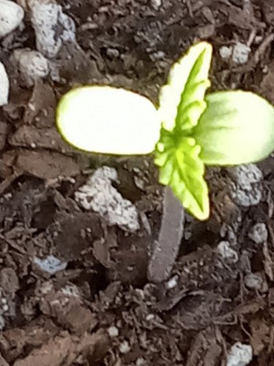 20230615_071613.jpg