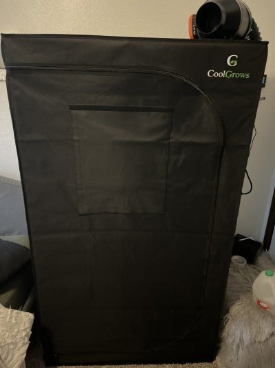 Please help a novice I’ve tried it all