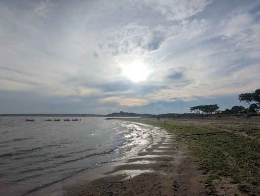 PXL_20230708_223529514.jpg