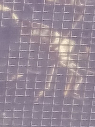 20230713_073144.jpg