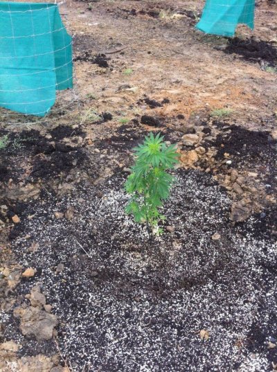 Butte County Outdoor '11