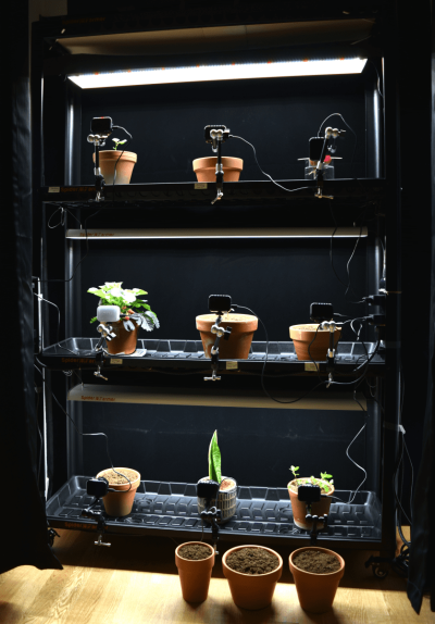 YTB@RapidLapse-SF600growshift.png