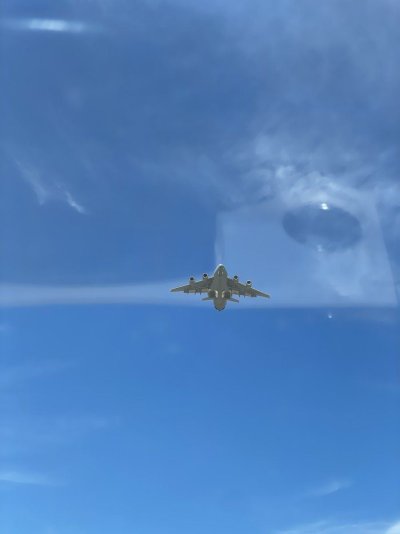 IMG_8246.jpeg