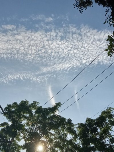 20230731_075613.jpg