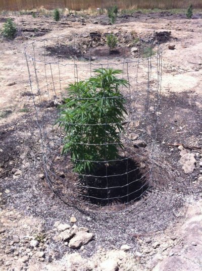 Butte County Outdoor '11