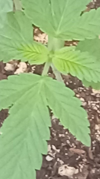 20230914_071101.jpg