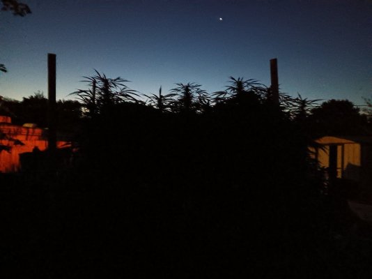 20230915_060327.jpg