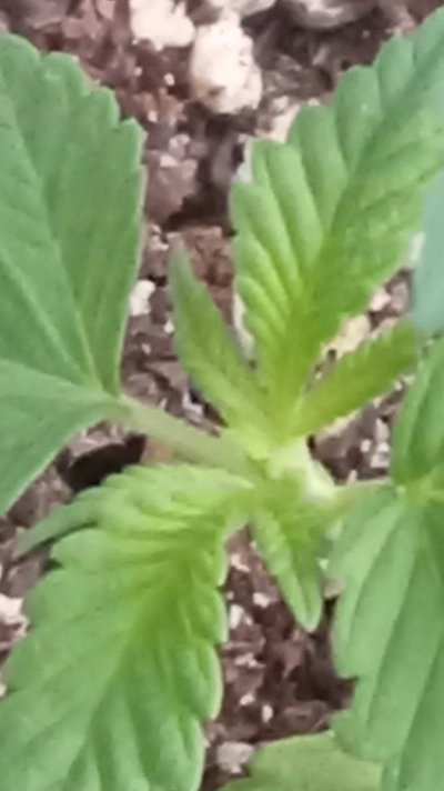 20230915_064732.jpg