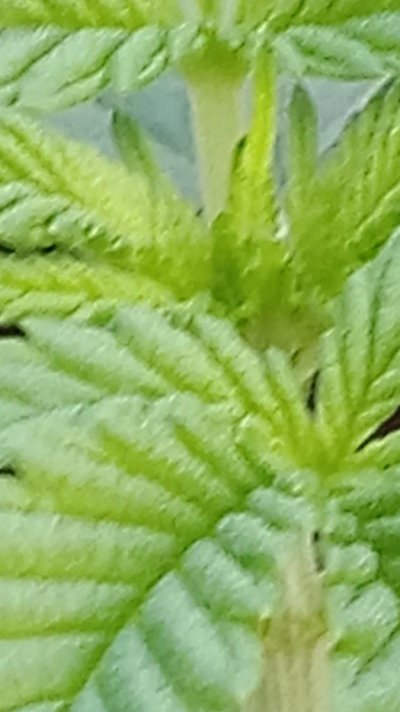 20230923_074450.jpg
